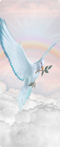 Dove Clouds Pink